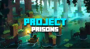 Project Prisons