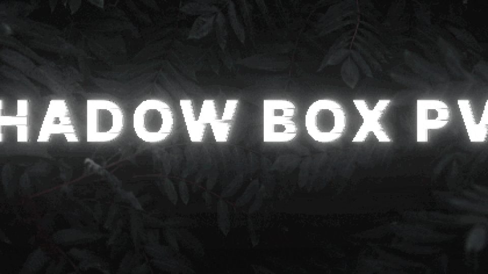 Shadow Box Pvp