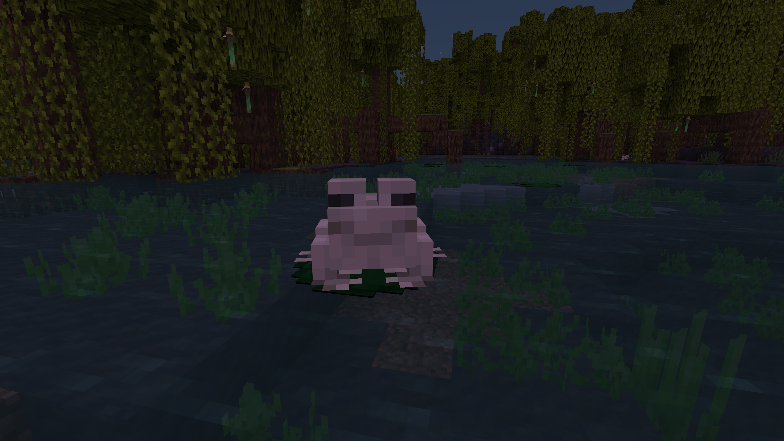 Frog SMP